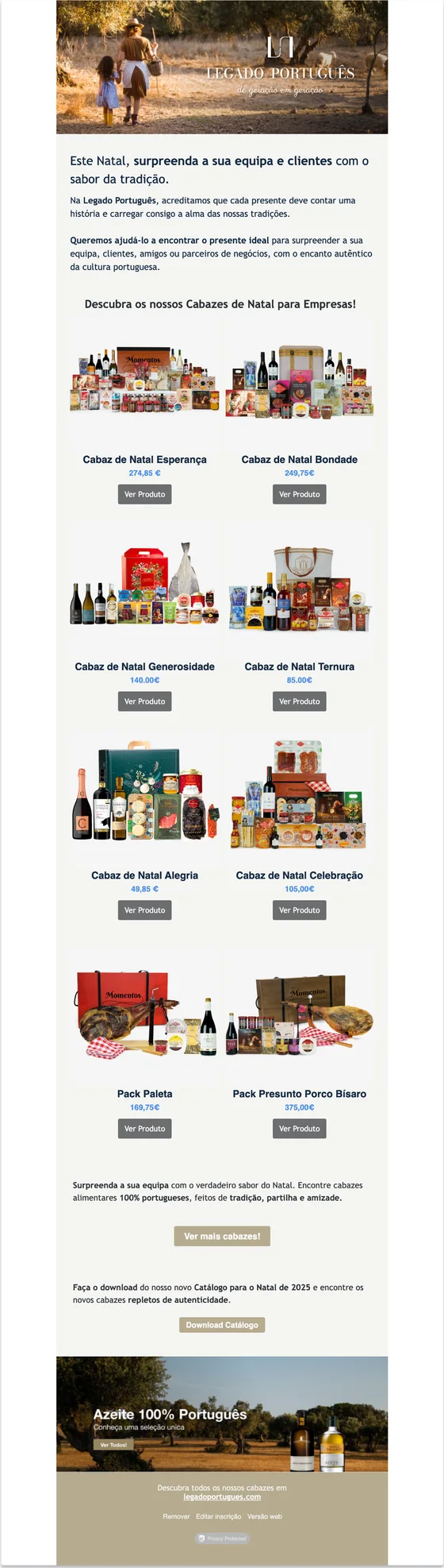 Newsletter com cabazes de Natal para empresas